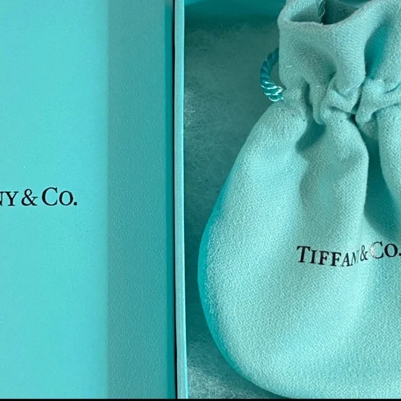 New Tiffany & Co. 925 Silver Twist Clover Leaf Charm lucky 🍀 box pouch - Picture 6 of 6